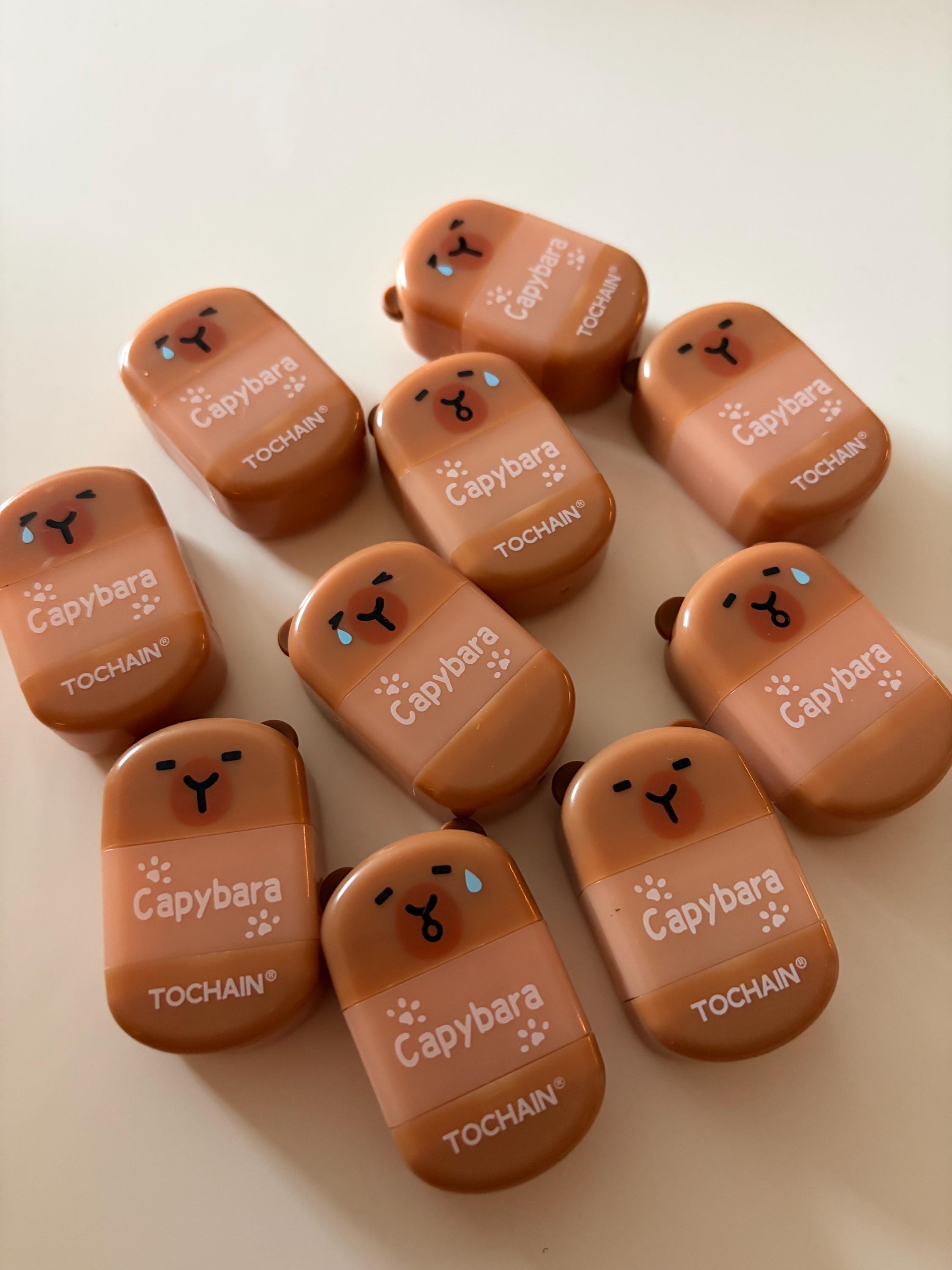 Capybara Eraser & Sharpener, Animal Stationery