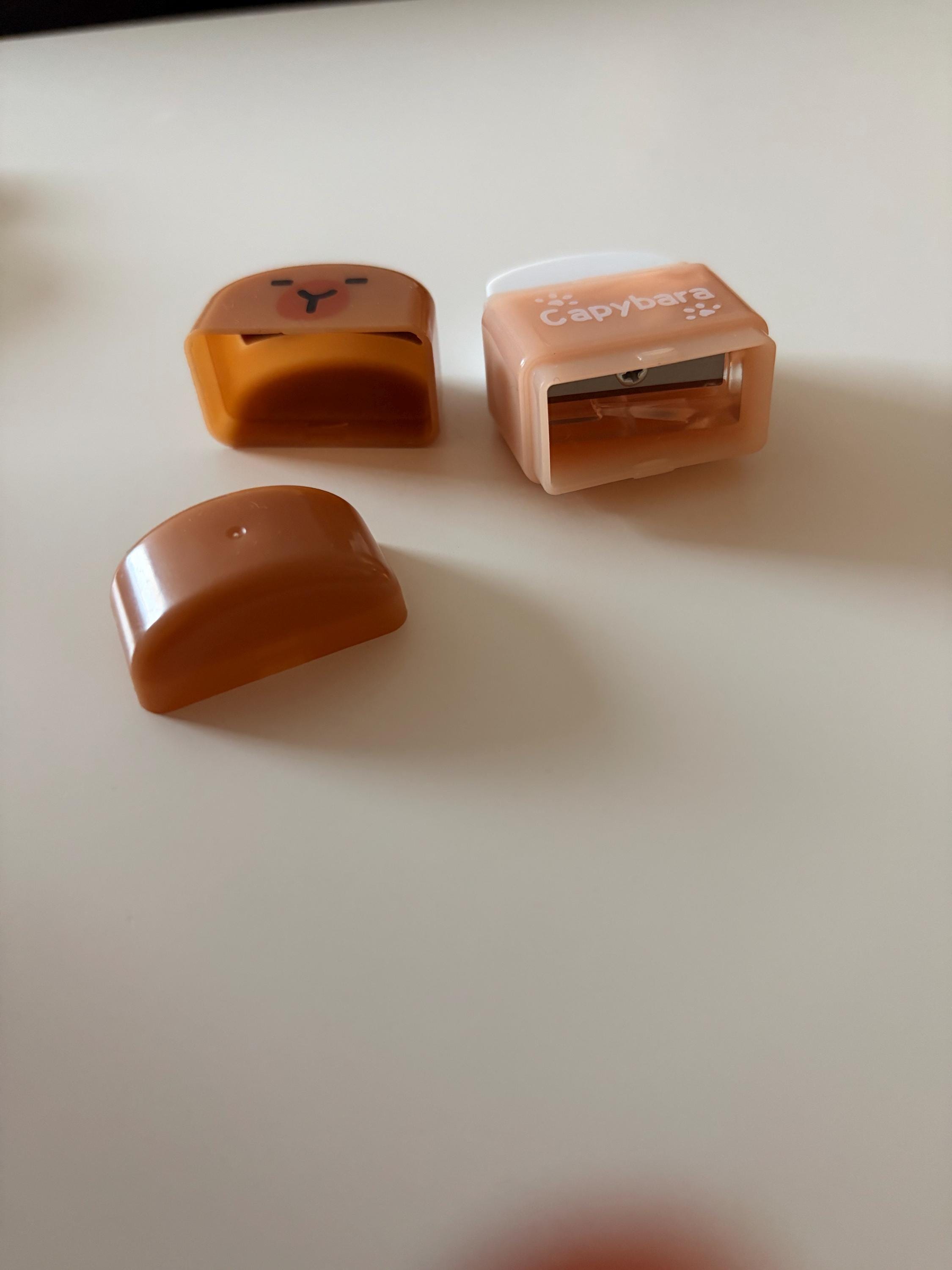 Capybara Eraser & Sharpener, Animal Stationery