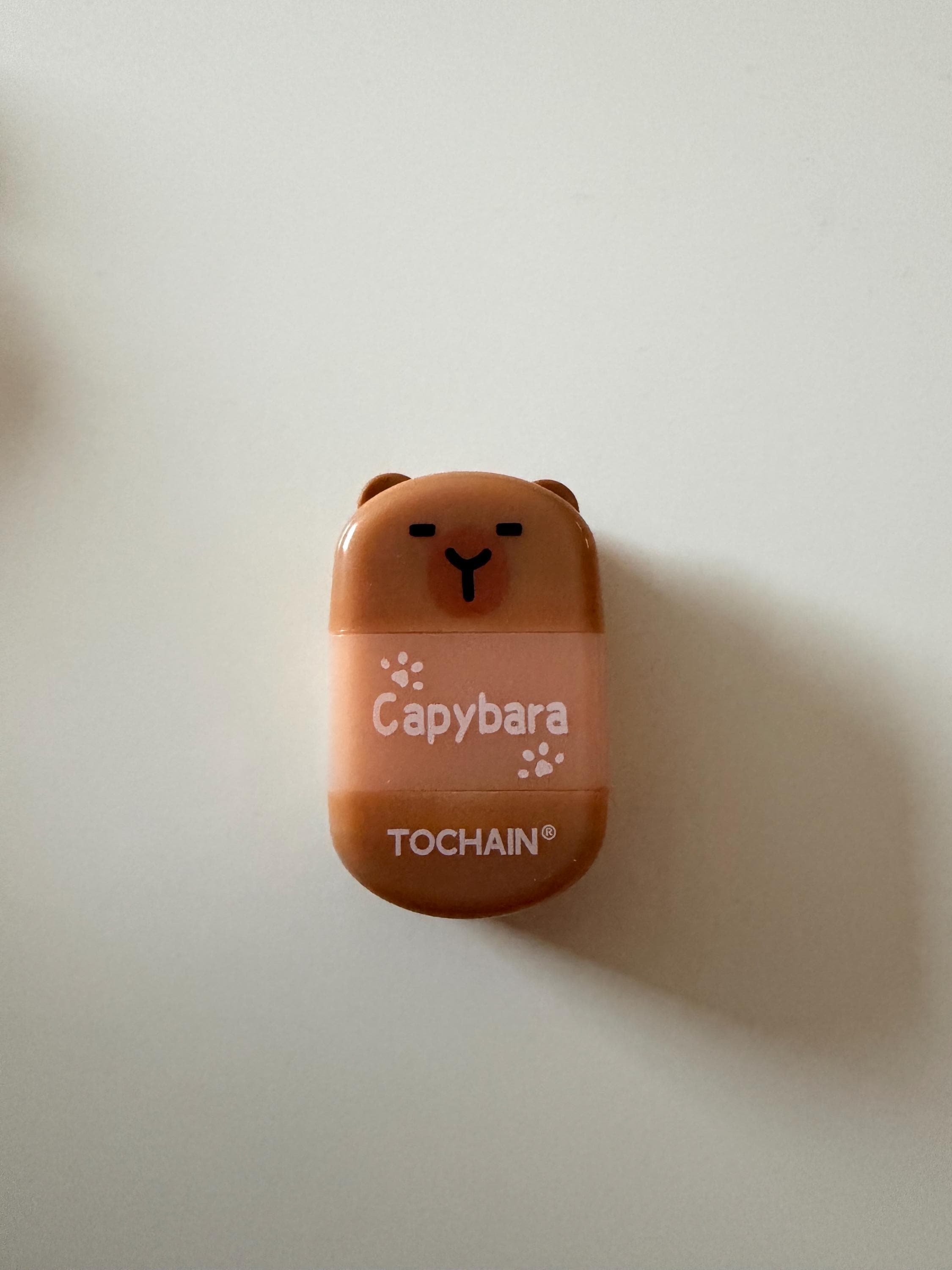 Capybara Eraser & Sharpener, Animal Stationery