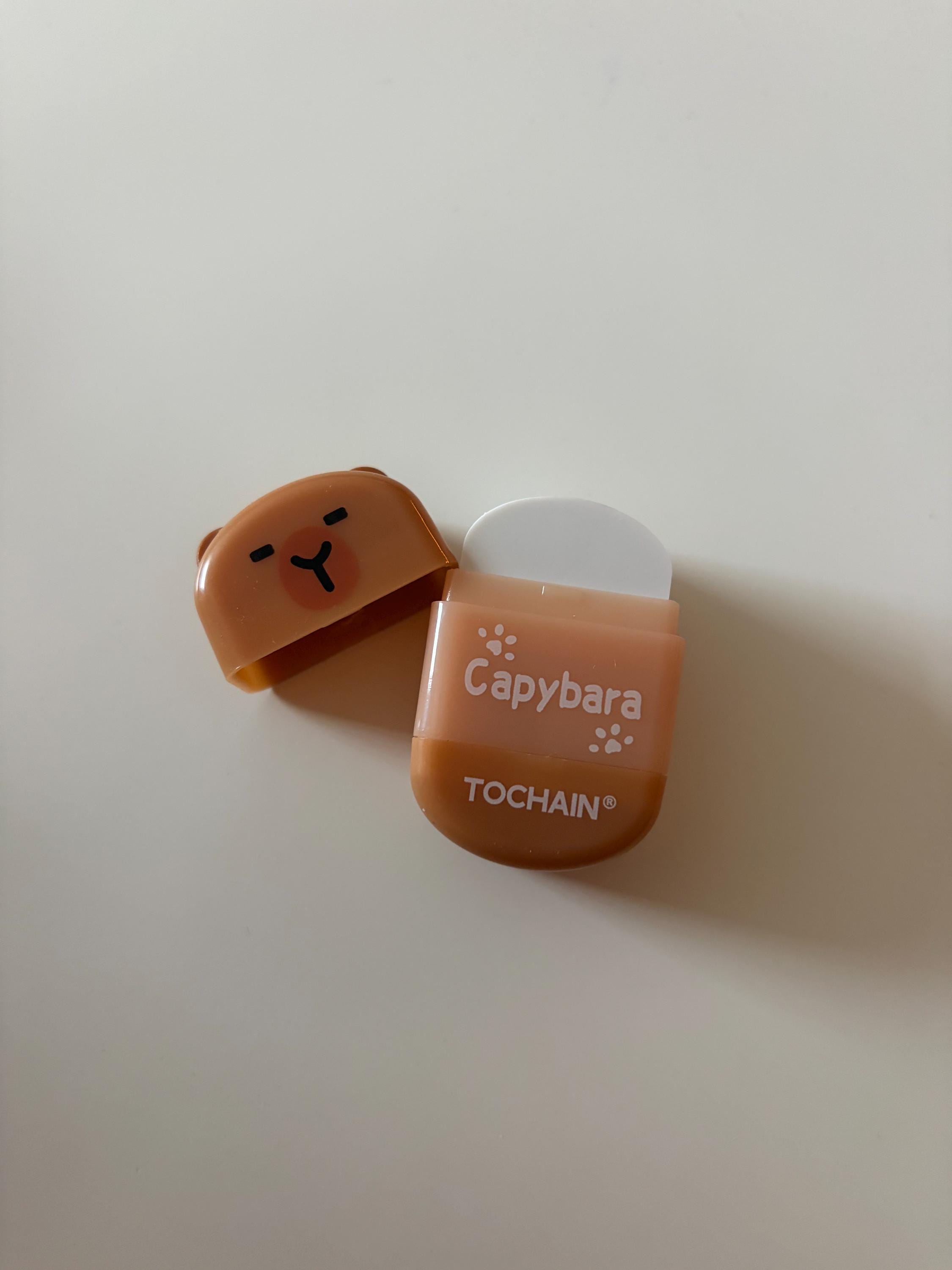 Capybara Eraser & Sharpener, Animal Stationery