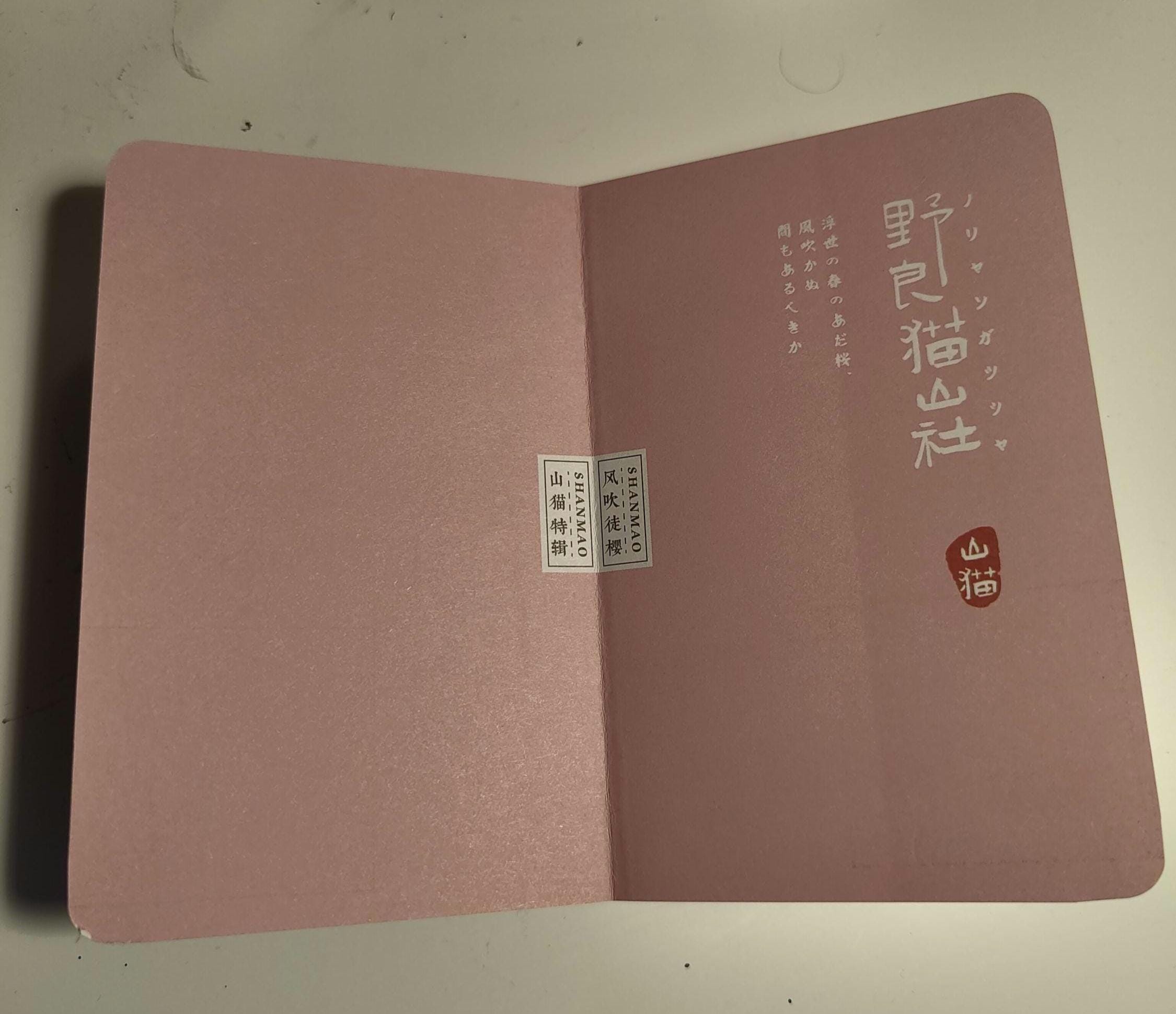 A7 Cat Diary Notebook