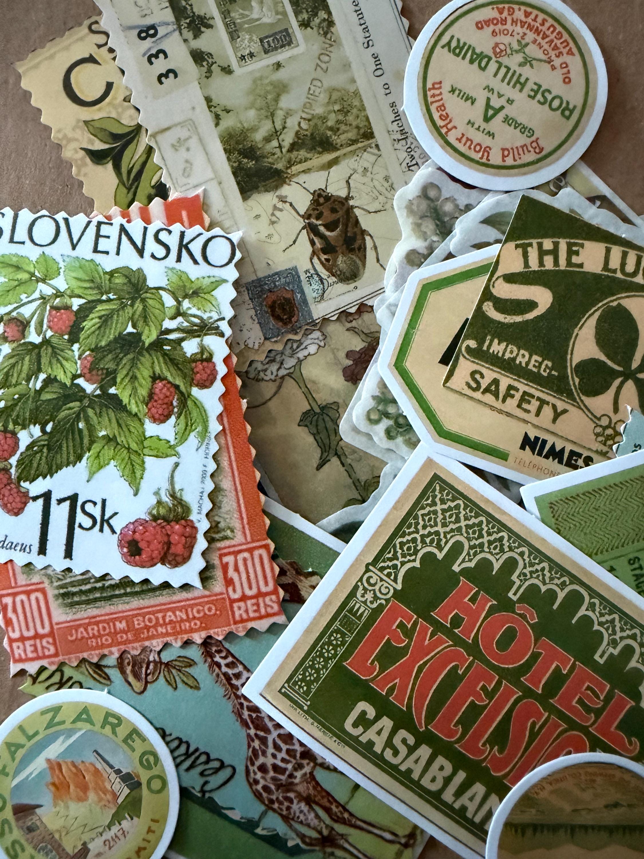 Ephemera Pack Vintage Retro Green