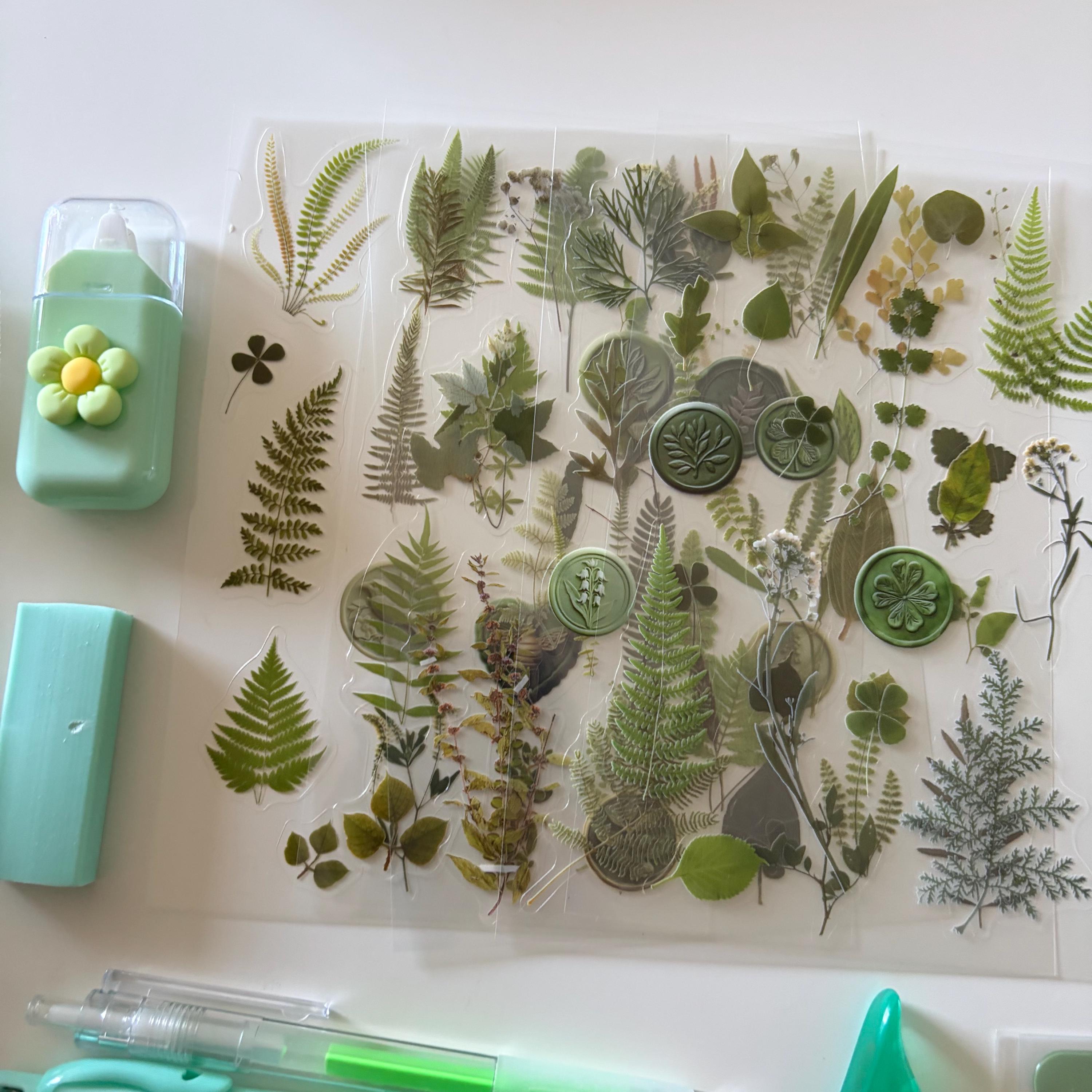 Green Back to School Study Bundle