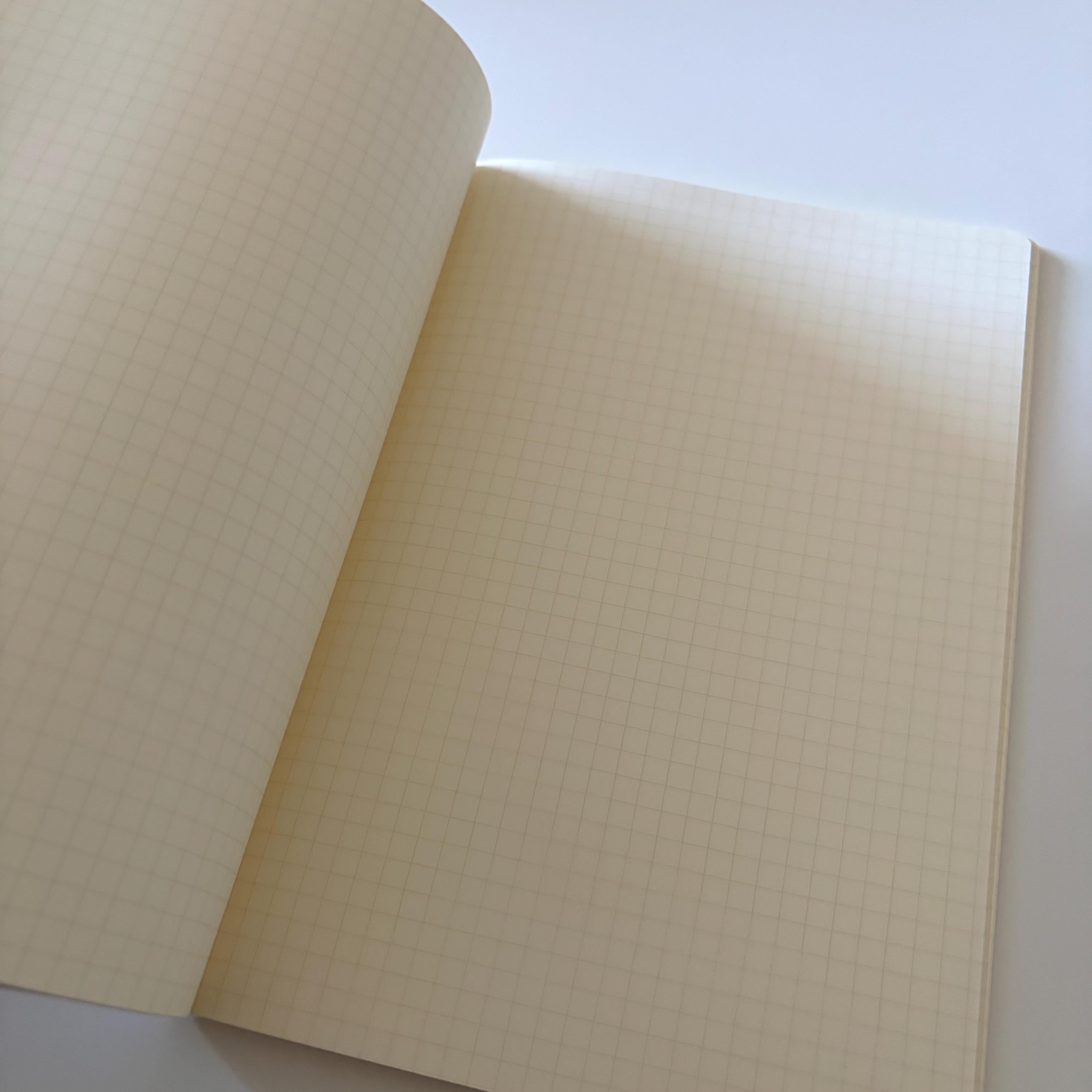 A5 Grid Cat Notebook RYURYU Note