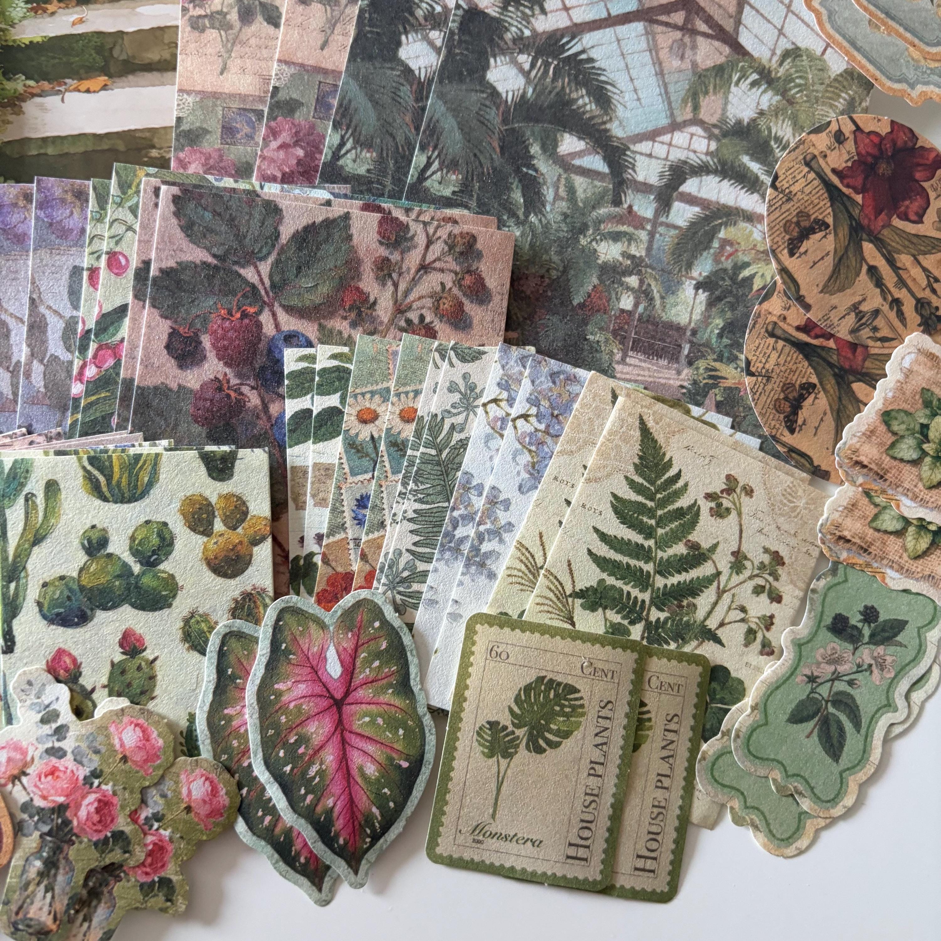 100pcs Green Academia Plant Ephemera | Vintage-Style Bundle Papers Stickers | Journaling Scrapbooking Supplies
